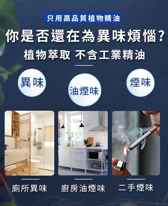 【Hilton 希爾頓】希臘風情永生花精油擴香燈組