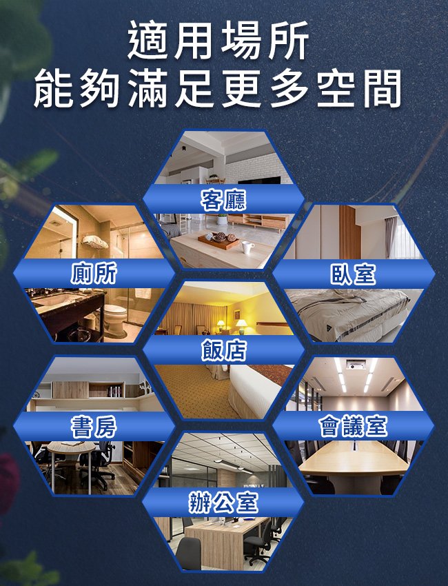 【Hilton 希爾頓】希臘風情永生花精油擴香燈組