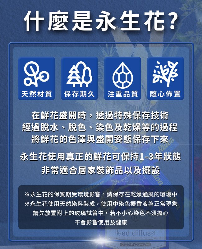 【Hilton 希爾頓】希臘風情永生花精油擴香燈組