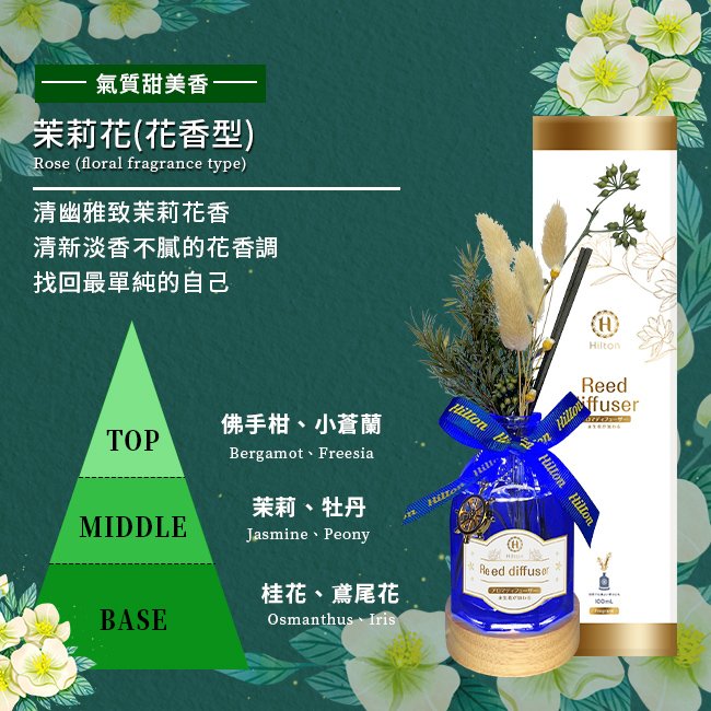 【Hilton 希爾頓】希臘風情永生花精油擴香燈組