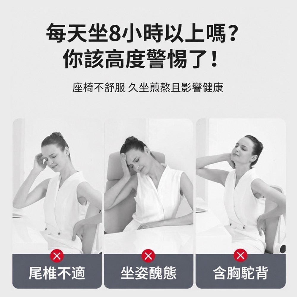 坐靠一體減壓護腰坐墊/2色