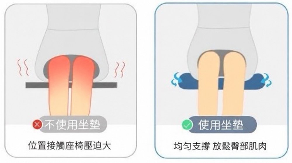坐靠一體減壓護腰坐墊/2色